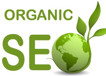 Organic SEO